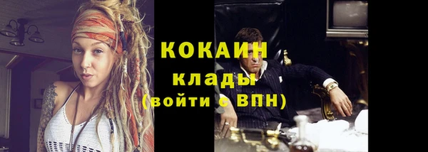 шишки Нестеровская