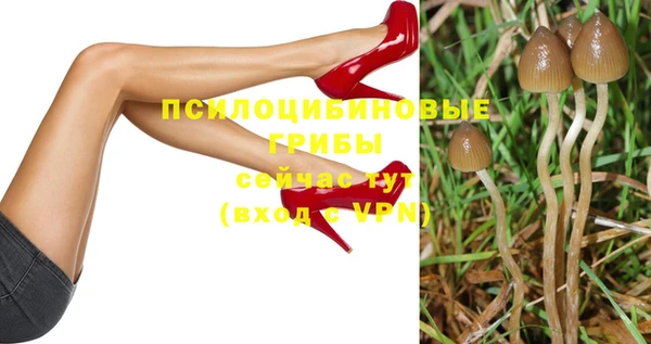 гидра Магадан