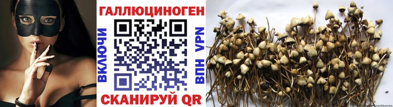 Псилоцибиновые грибы Psilocybe  Саратов 