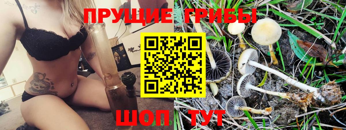 Псилоцибиновые грибы Cubensis Саратов