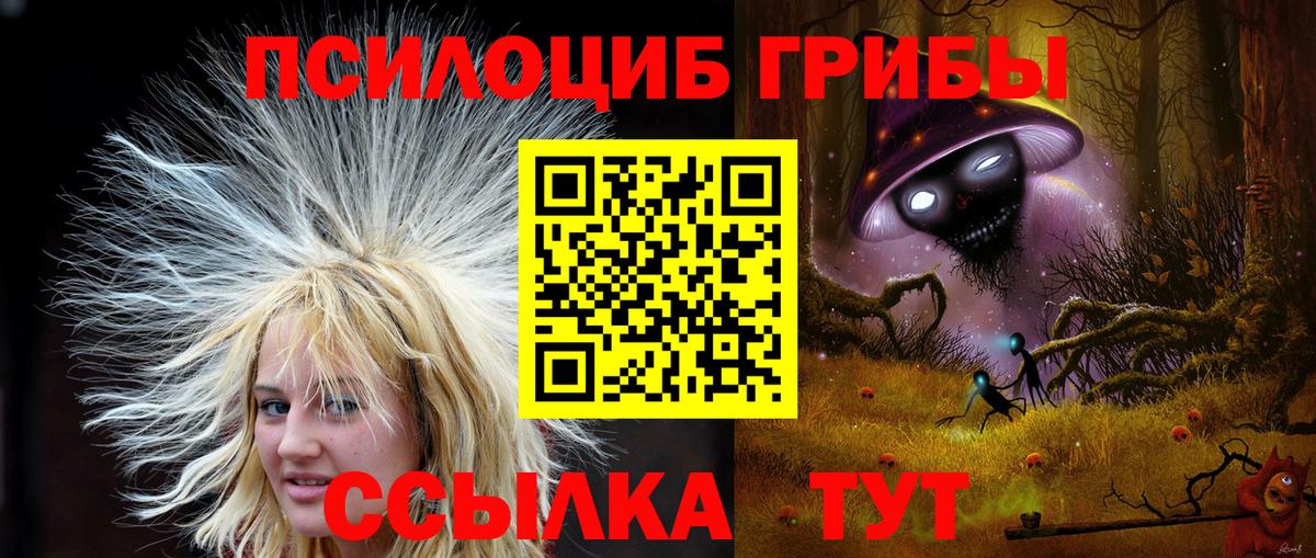 Псилоцибиновые грибы мицелий  Вход с VPN  Саратов 